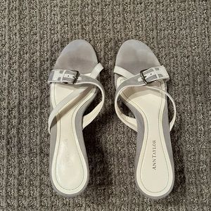 Ann Taylor shoes